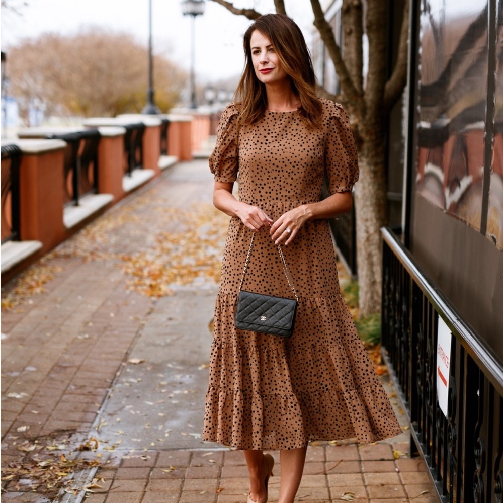 NWT BB Dakota small DOT dress